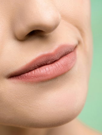 ayur laavanyam lip care