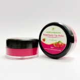 Ayur Laavanyam lip balm