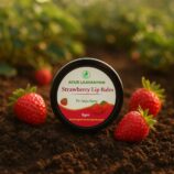 Ayur Laavanyam Strawberry Lip Balm