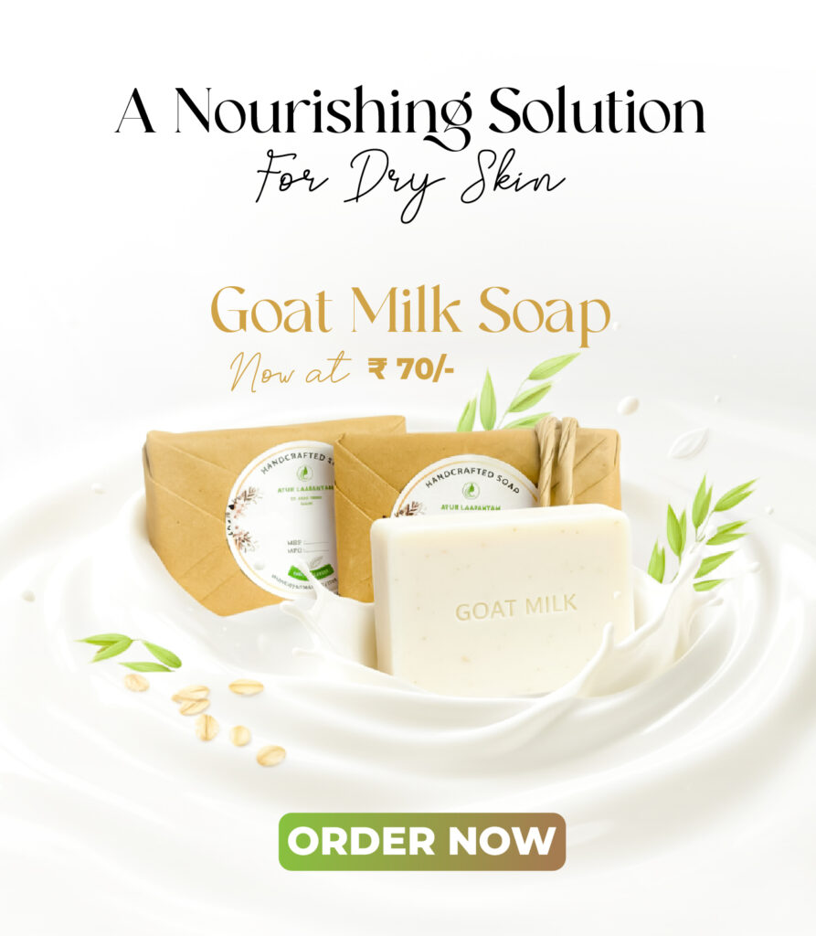 ayur laavanyam goat milk soap